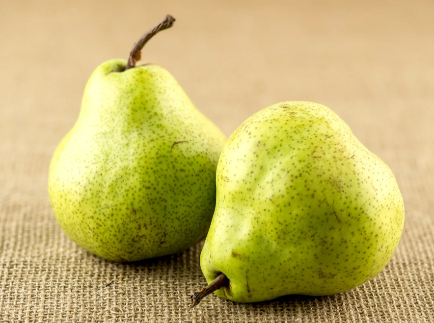 Fresh Pear for wholesale
