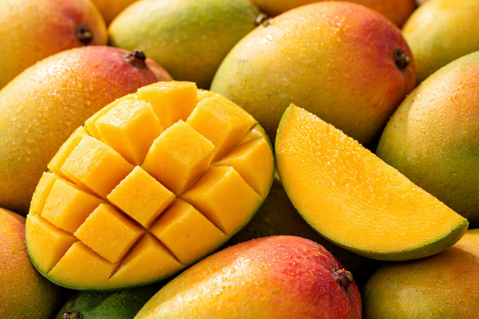 Fresh Alphonso Hapus mangoes for wholesale in Mumbai