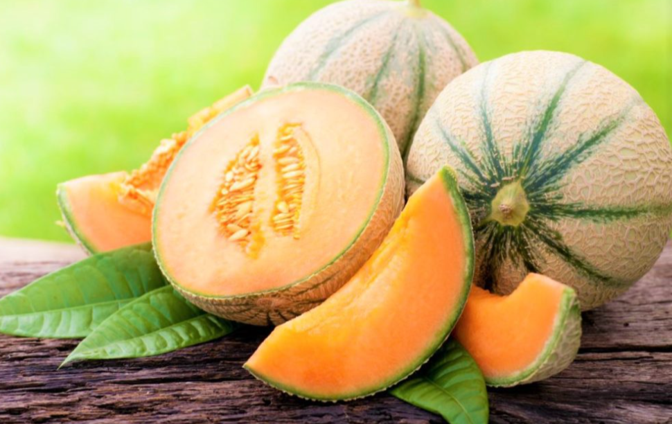 Premium fresh muskmelon for bulk wholesale