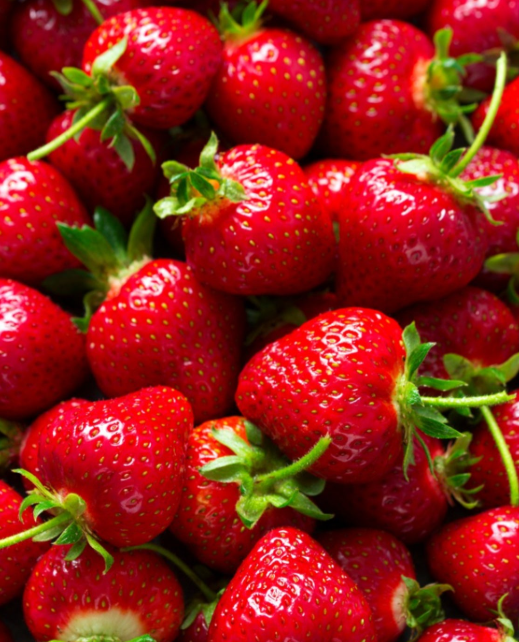 Fresh Strawberry for wholesale supply from Bihar